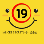 [ALICES SECRET] 섹시롱슬립 & 팬티 세트 NY14020040 (A45)