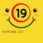 여성섹시슬립_1313