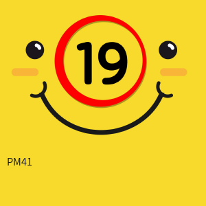 PM41